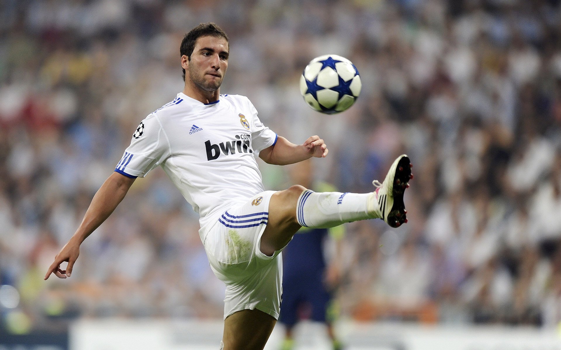 不莱梅主场粉碎对手野心,不莱梅青训