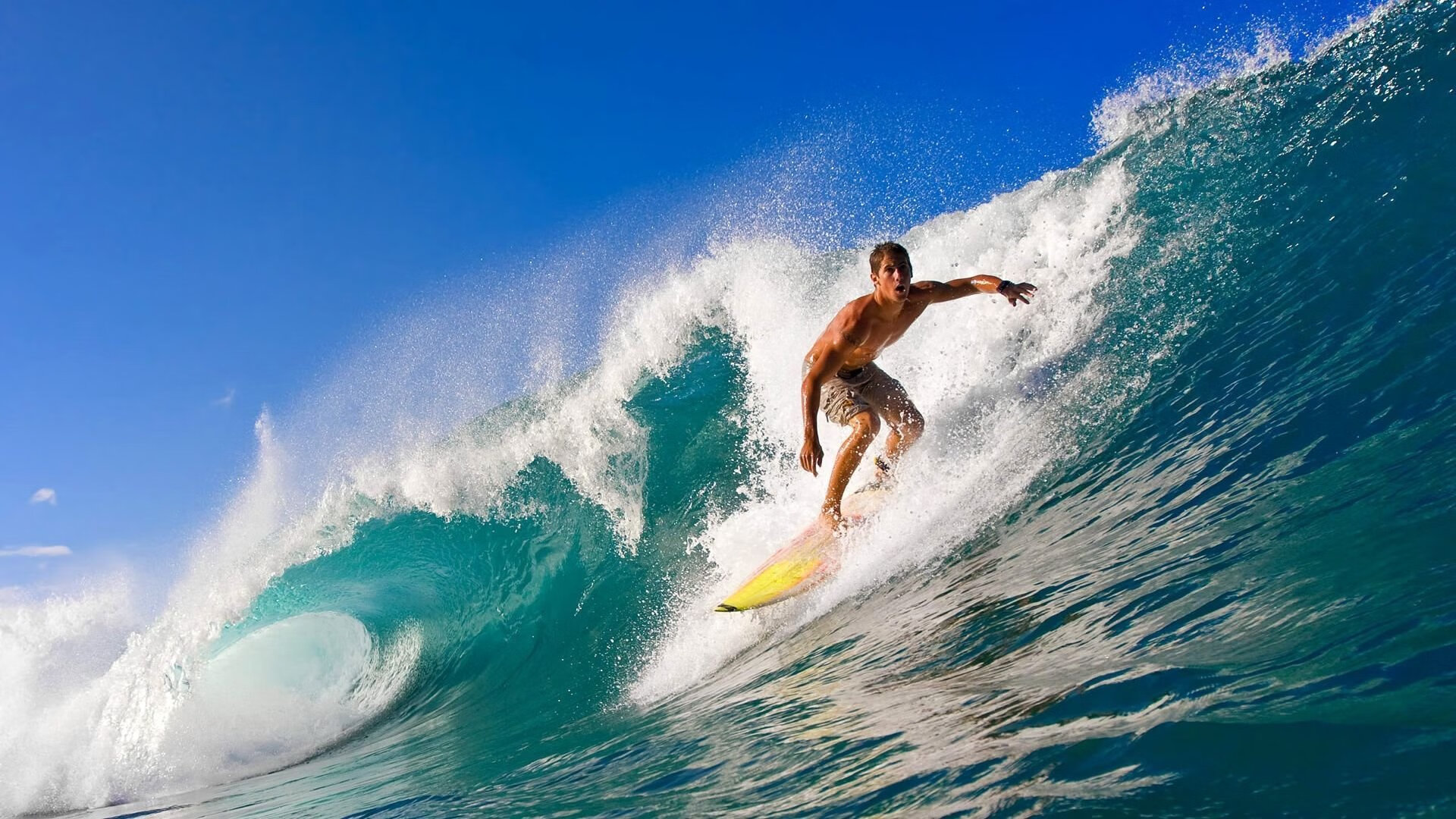 严格裁判体系:确保每一局比赛的公正性,严格遵守比赛规则 坚决服从裁判